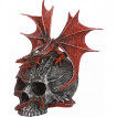 Boite tte de mort dco  dragon rouge 