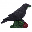 Figurine Corbeau tenant une rose rouge (14cm)