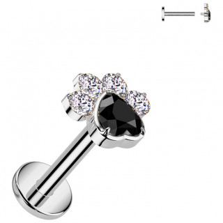 Piercing labret Titane  patte de chat bicolore zirconiums (lvre et oreille)