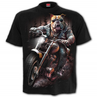 T-shirt biker homme  chien bulldog sur sa moto